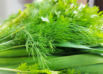 close-up of fresh juicy greens for salad