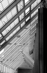 Obraz premium Black and White Architecture 