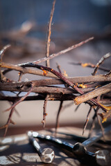 Close up bloody nails and crown of thorns as symbol of passion of Jesus Christ. Christianity and...