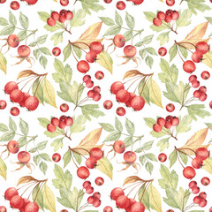 Hawthorn berries and rosehip painted with watercolors. Autumn seamless pattern on white background. For fabric, wrapping paper, stationery design, wallpapers, cottagecore style decor. 