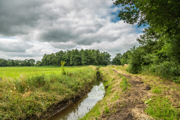 Cleared stream for better water flow and drainage adjacent meadows with natural vegetation on one side and the removed aquatic plants on the other side against a background of gray clouds