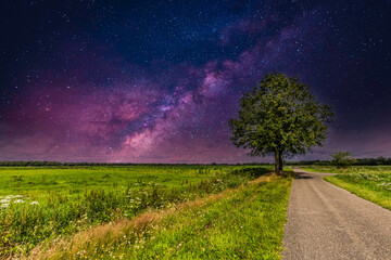 Nightly flat Dutch landscape stream valley of the river Rolderdiep at Anderen with tree against...