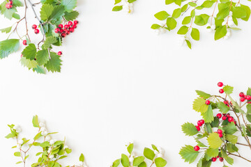 Flat lay frame with red berries and green leaves on white background