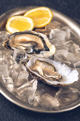 Oysters with fresh lemon