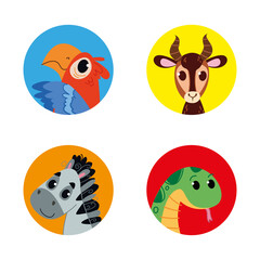 Animal avatar in round multi-colored windows. Parrot macaw, gazelle, boa constrictor and zebra in cartoon funny style. Vector children s illustration, for printing on clothes, logo, print design