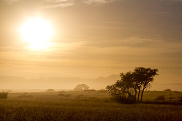 Fototapeta na wymiar Landschaft Namibia, Morgenlicht
