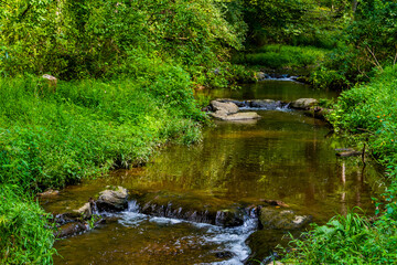 Fototapeta na wymiar Placid Stream and Waterfalls, Richard M Nixon County Park, York County, Pennsylvania, USA