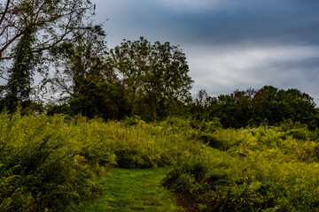 Storm Clouds Over The Upland Meadow, Richard M Nixon County Park, York County, Pennsylvania, USA