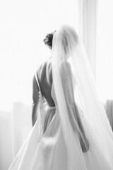 beautiful bride in white lush wedding dress