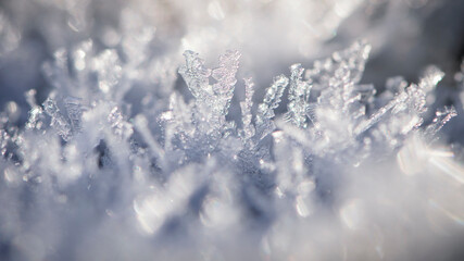 ice crystals closeup winter frost. The patterns made by the frost, hoarfrost background. macro photo, winter frosty background. cold season, winter season, low temperature. text
