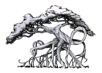 The tree walks on its roots. The tree is a monster. A tree with aerial roots. Ink drawing.