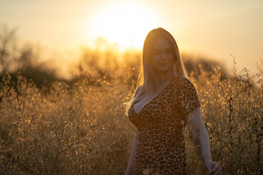 1,828 BEST Curvy Woman Silhouette IMAGES, STOCK PHOTOS & VECTORS