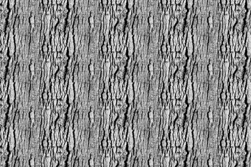 oak pattern wood texture backdrop