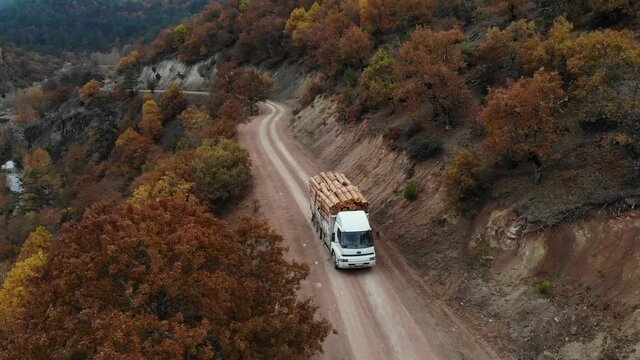 drone shot of a lumber truck driving on dirt road in the woods between the mountains. Aerial shot of freight truck haul timber production across road