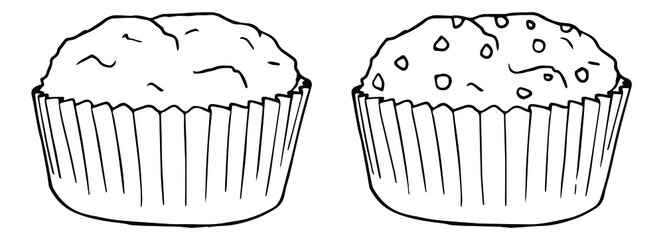 Hand Drawn Muffin Clipart Outlines