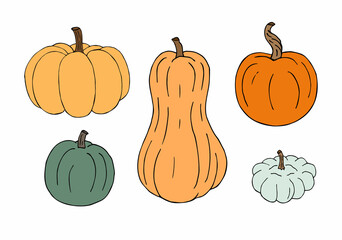 Vector set bundle of hand drawn doodle sketch colored pumpkin isolated on white background
