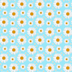 White Camomiles flower on a blue background with an isolated seamless pattern