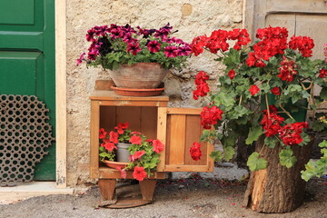 Fototapeta na wymiar Colorful Street View with Red Potted Flowers and Small Wooden Cupboard in Italian Rural Village