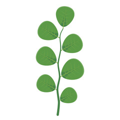 green leaf stalk vector on white background
