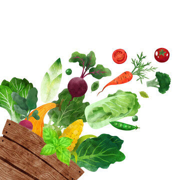 Falling vegetables, Hand drawn vector watercolor illustration