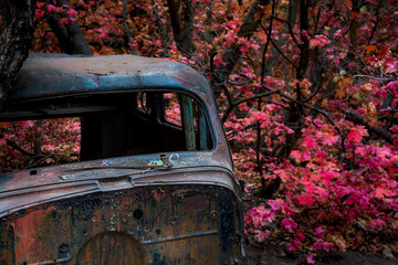 Old Relic in the Heart of Autumn