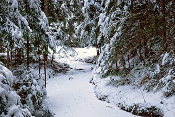 A frozen stream covered with snow