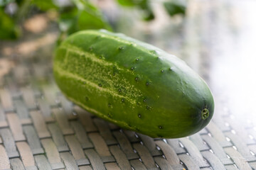 Gros plan sur un concombre vert sur une surface en verre en lumière naturelle
