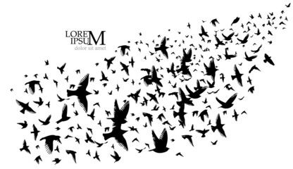 A flock of flying birds. Vector illustration