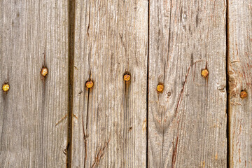 Texture of old wooden boards with rusty nails.Retro style. Background, wallpaper, cover.