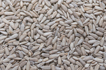 peeled and raw sunflower seeds Helianthus annuus.