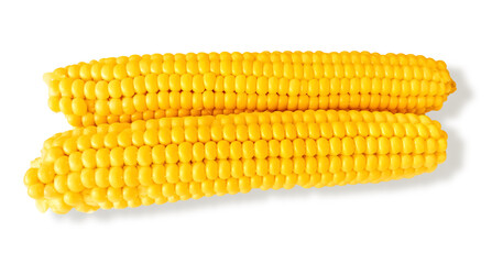 Sweet yellow corn on white background stock photo
