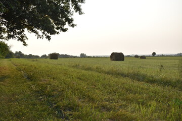 Hay Field