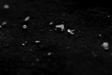 Dandruff is a common scalp condition in which small pieces of dry skin flake off of the scalp