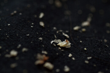 Dandruff is a common scalp condition in which small pieces of dry skin flake off of the scalp