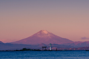 Fototapeta na wymiar 鳥居と富士