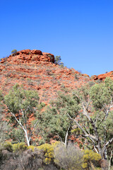 Beautiful Kings Canyon in the Northern Territory, Australia, featuring amazing dark red rock formations and australian forest