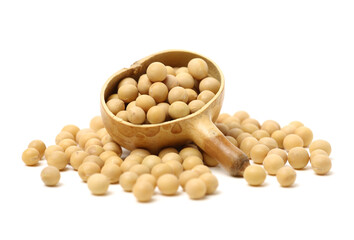 gold soybean isolated on white background 
