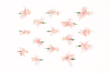 minimalistic floral pattern of dried daffodil flowers on a white background. simple flat composition
