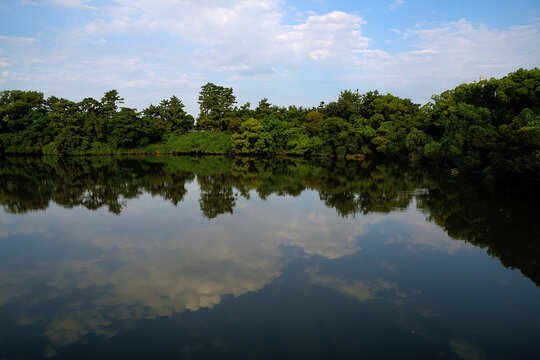 鏡のような水面に夏空が綺麗に映り込んでいる池の風景