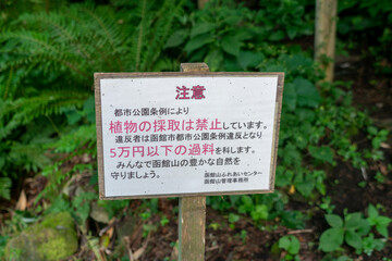 北海道函館市の函館山を登山する風景 A view of climbing Mount Hakodate in Hakodate, Hokkaido. 