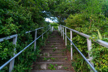 北海道函館市の函館山を登山する風景 A view of climbing Mount Hakodate in Hakodate, Hokkaido. 