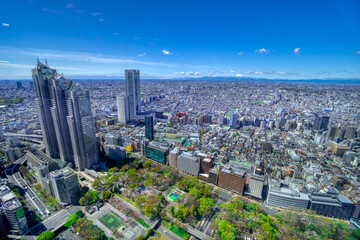 Naklejka premium 東京 新宿から望む春の富士山