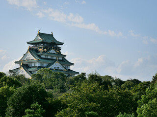 Fototapeta na wymiar japanese castle in spring