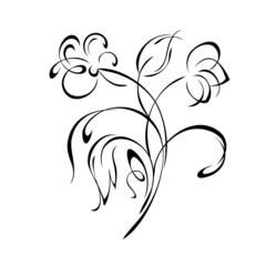 floral design with blooming flowers on stems with leaves and curls in black lines on a white background