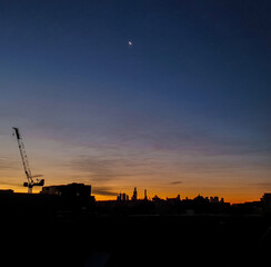 cranes at sunset