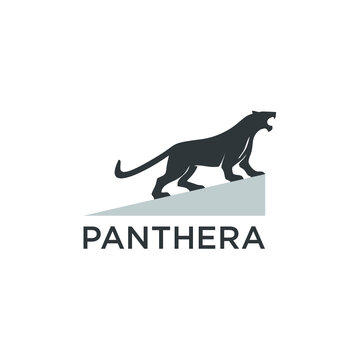 Template Vektor Ilustrasi panther. Cocok untuk Industri Kreatif, Multimedia, Hiburan, Pendidikan, Pertokoan, dan bisnis terkait lainnya