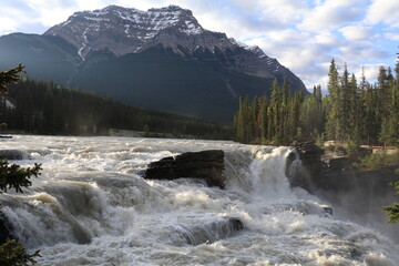 Amazing waterfalls in British Columbia, Canada. Beautiful Athabasca Falls in Jasper National Park. Epic Landscape and a wonderful nature in Canada.