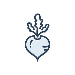 Color illustration icon for turnip