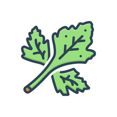 Color illustration icon for coriander