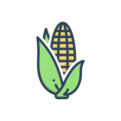 Color illustration icon for corn